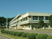 学校